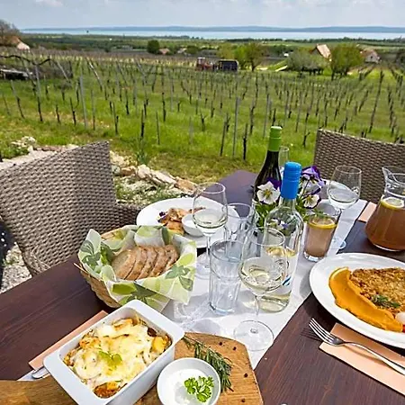 Birtok Royal Apartmanhaz B&B Tagyon